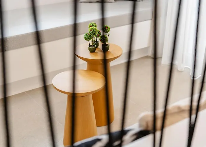 Elvirtus Suites