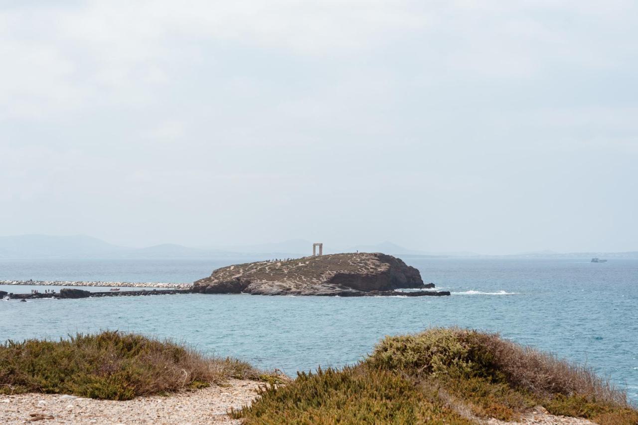 Appartement Elvirtus Naxos City